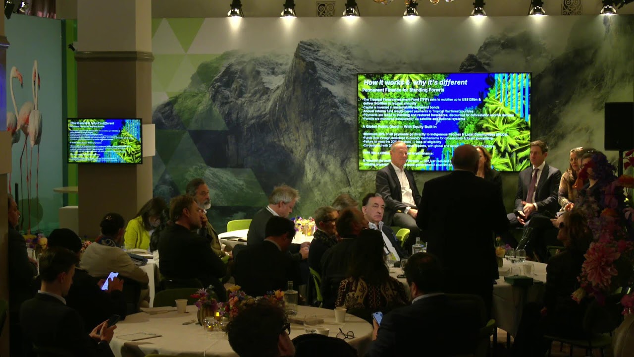 A paradigm shift in climate and nature finance - the case of Tropical Forest Forever Facility (TFFF)
