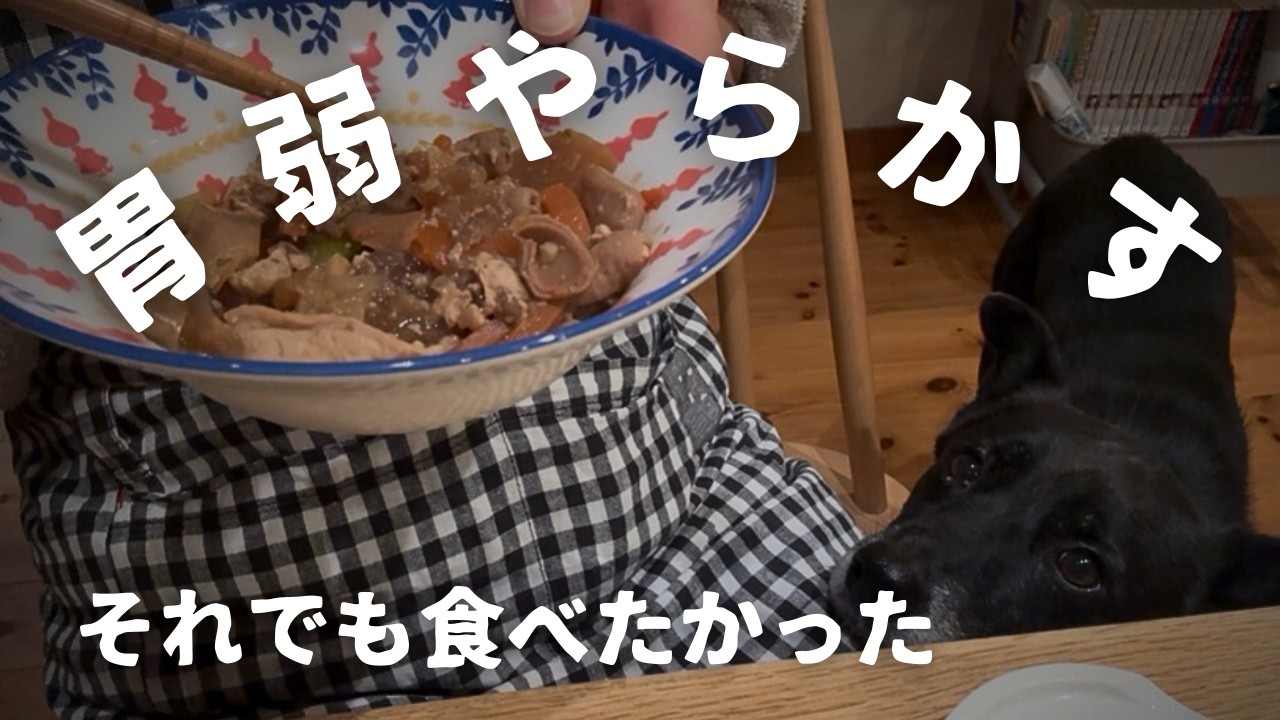 【声なしvlog】雪の日の台所｜モツ煮とオムライスの夜