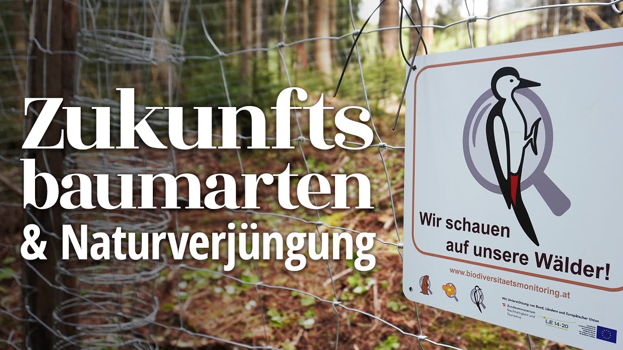 Praxiswerkstatt: Zukunftsbaumarten und Naturverjüngung am Vielfaltshof