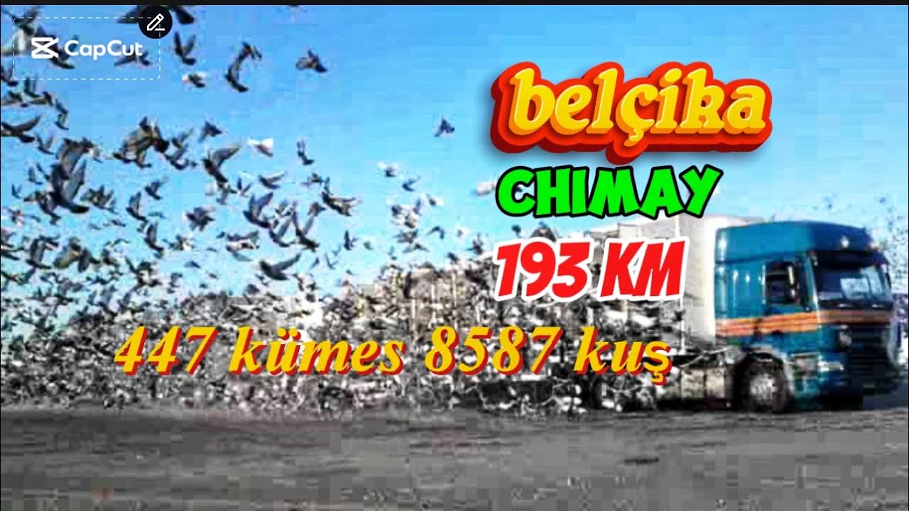 Belçika chimay 193 km kart ve yavru yarışımız #keşfet #new #breakingnews #krishna #like #comedy 
