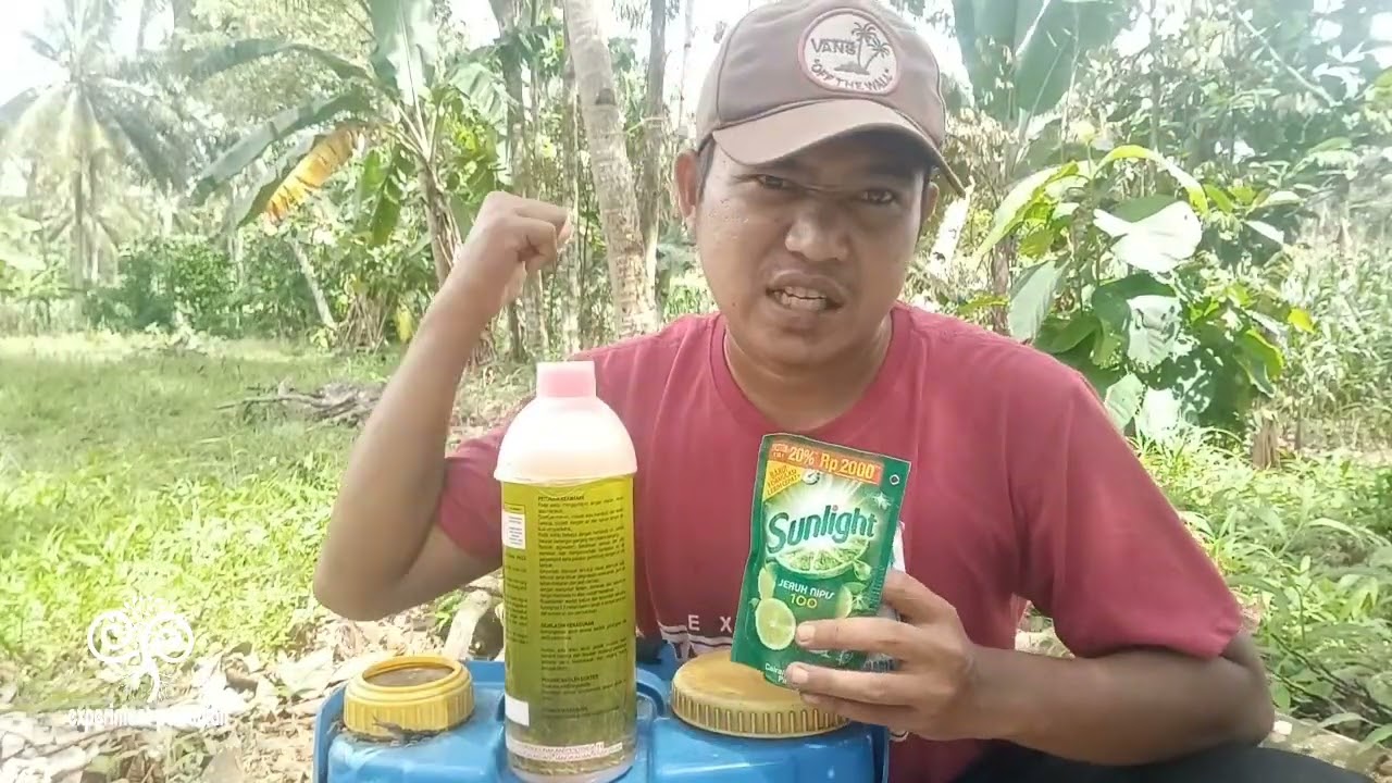 TAMBAHKAN INI BISA MEMBASMI GULMA SAMPAI AKAR