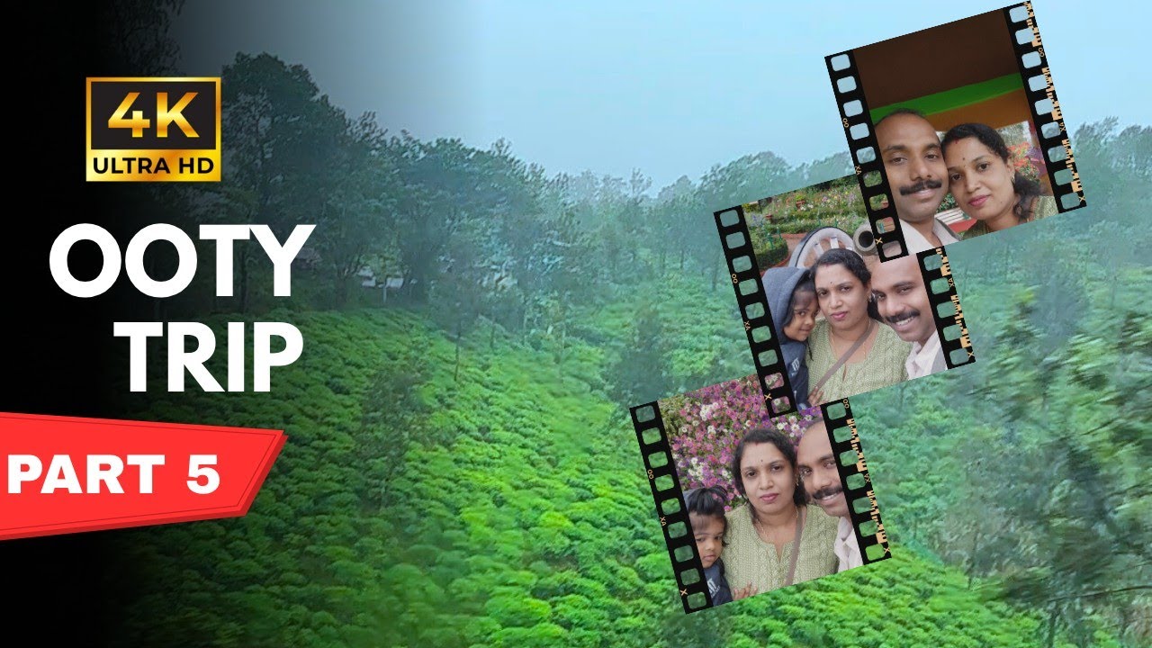 Doddabetta tea museum Visit Ooty