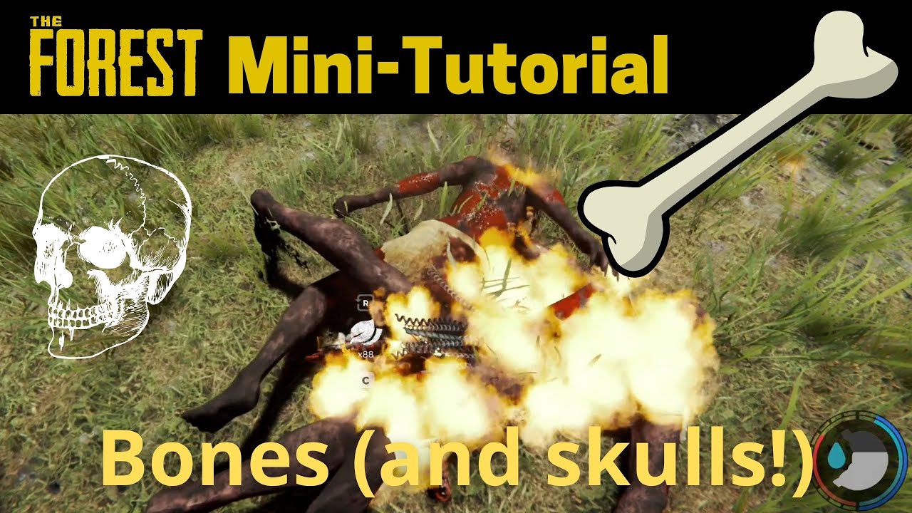 The Forest - How to get bones (and skulls)