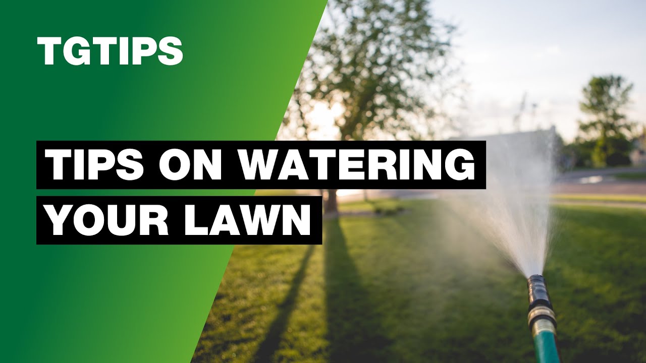 TG Tips - How to Water Your Lawn