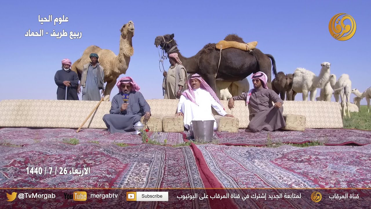علوم الحيا - ربيع طريف 2019 الجزء 2 - في ضيافة مالك الإبل مسلط بن ضحيان البقمي