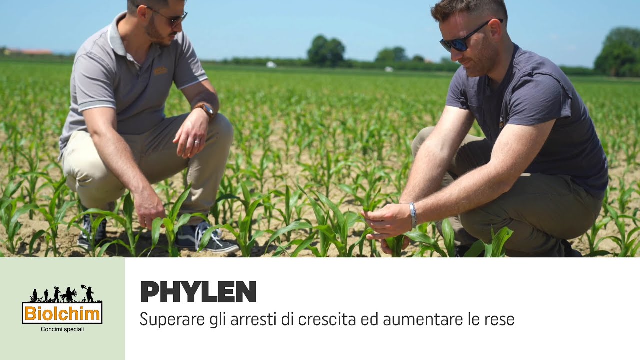 Superare gli arresti di crescita ed aumentare le rese con PHYLEN