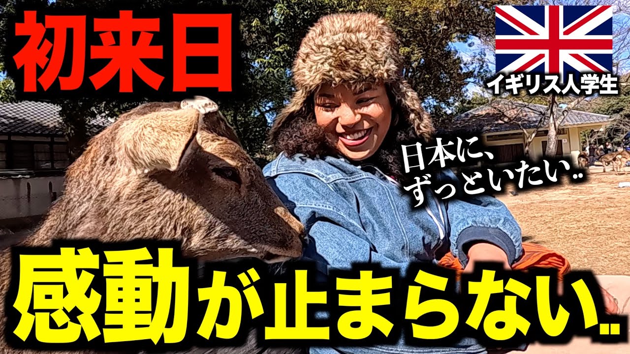 【初来日】街ゆく外国人たちに『日本で驚いたこと』を聞いてみた［#204］【日英字幕付き】