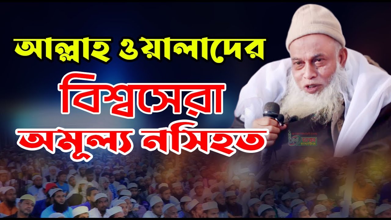 আল্লাহ ওয়ালাদের আলোচনা এমনি হয় আল্লামা নুরুল হক সাহেব | Allama Nurul Hok Saheb | Dhaka Mahfil