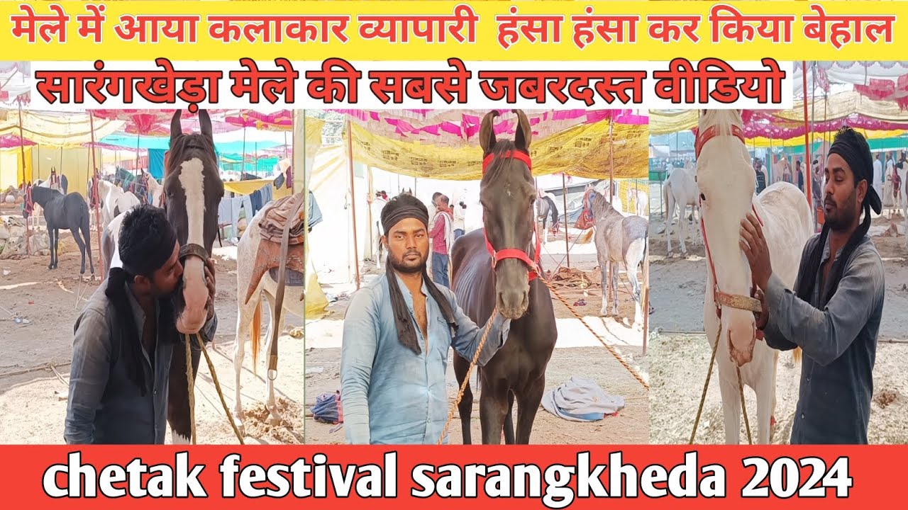 एका भाई हंसा कर किया बेहाल घोड़ों की दी जानकारी, chetak festival sarangkheda 2024