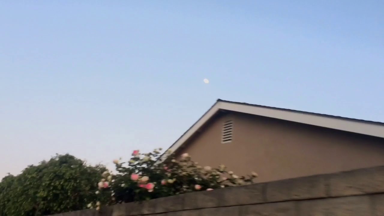 Lovely moment in Fountain Valley