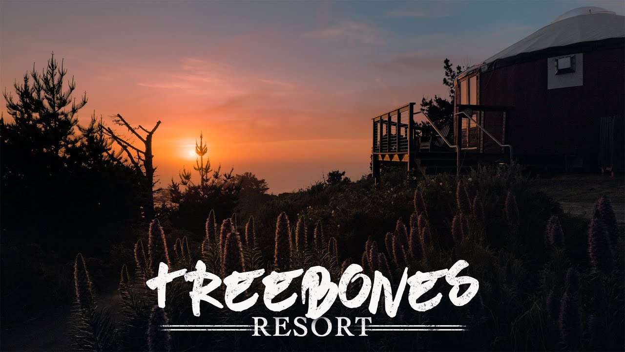 Treebones Resort in Big Sur, California || Our Experience Glamping in a Yurt