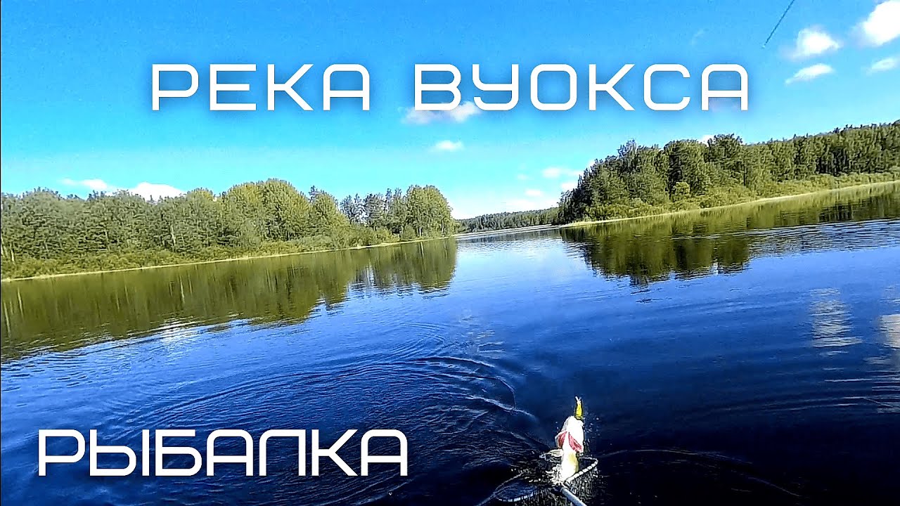 Река Вуокса. Рыбалка. Жор щуки. Ночевка на острове.