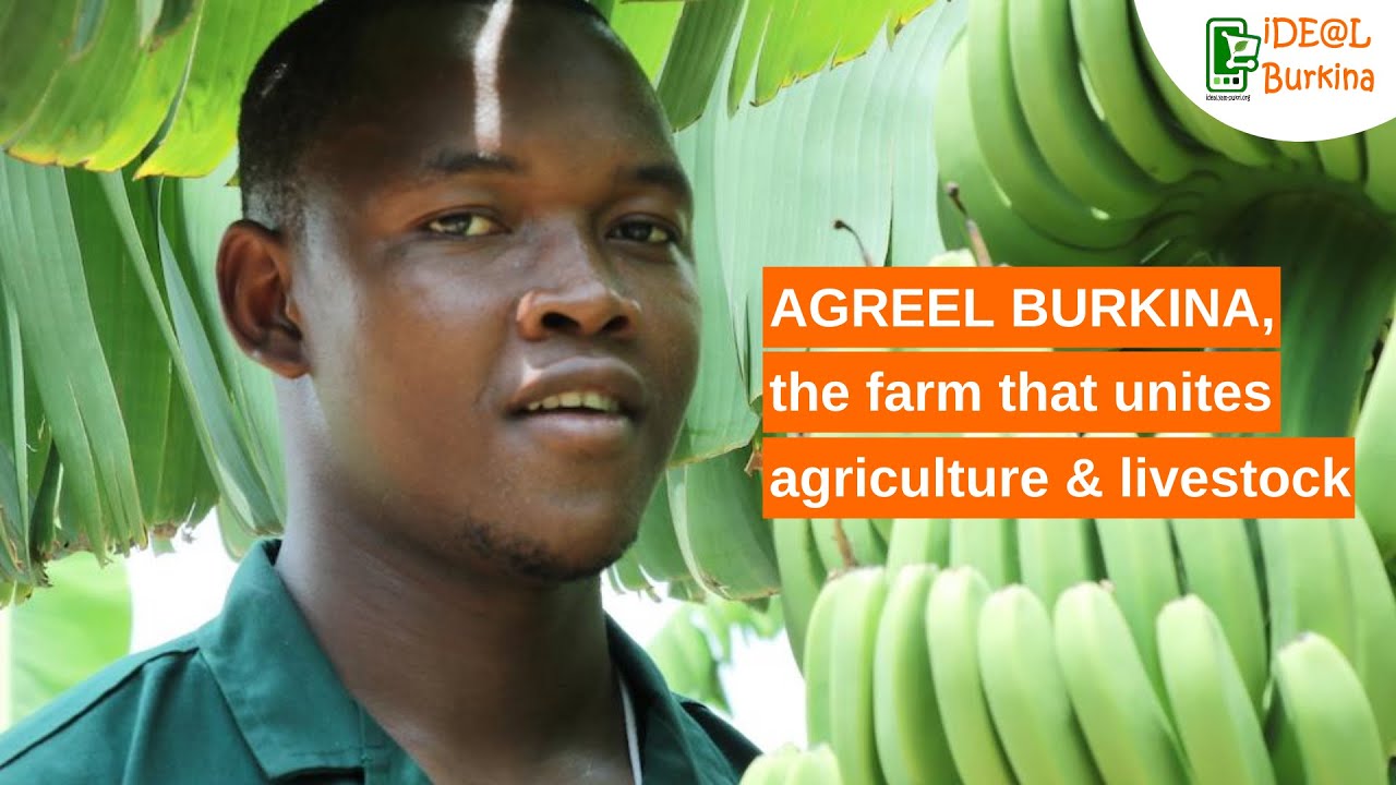 Burkina Faso: AGREEL BURKINA, the farm that unites agriculture and livestock