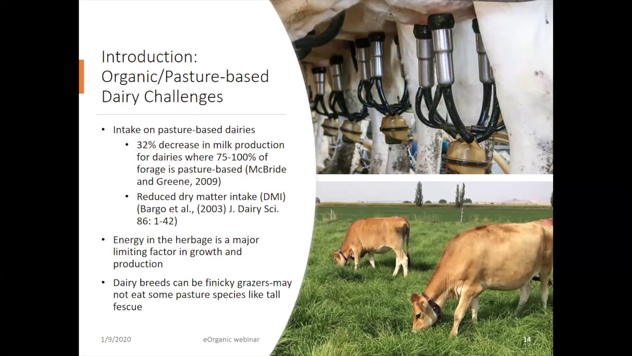 Pasture Mixtures to Improve Sustainability of Organic Pasture-Based Dairy 1