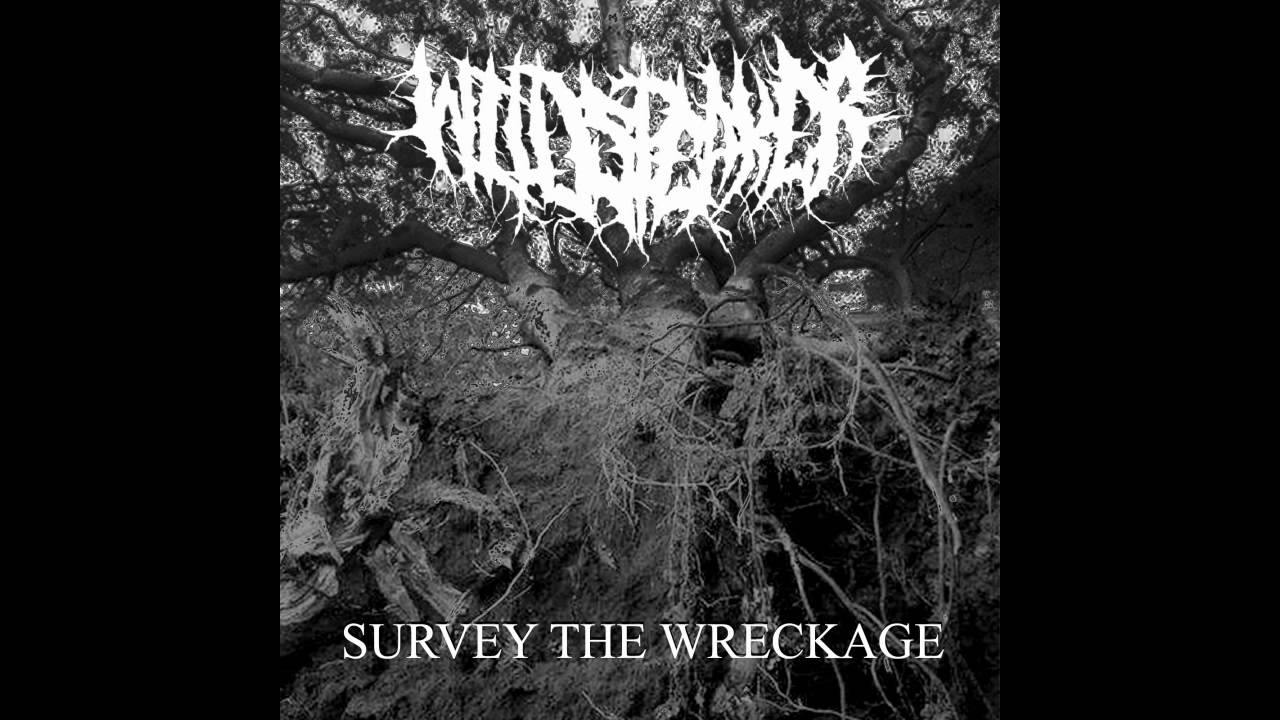 Wildspeaker -  Survey The Wreckage