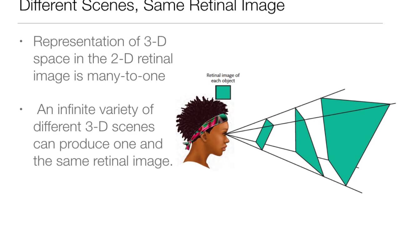 Perception: 6.1 -  Depth Perception Overview and Oculomotor Cues