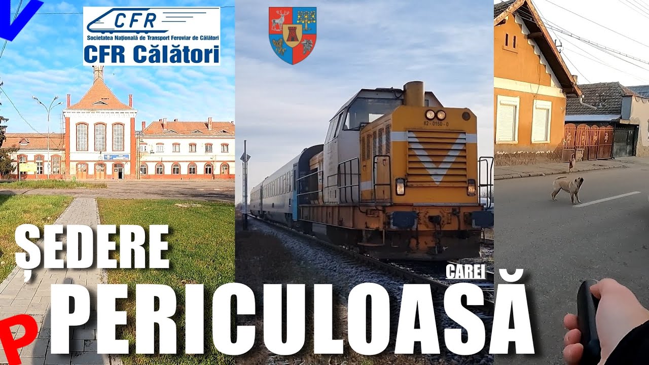 Cel mai periculos loc unde am oprit vreodata | Carei e plin de caini care te pot ataca