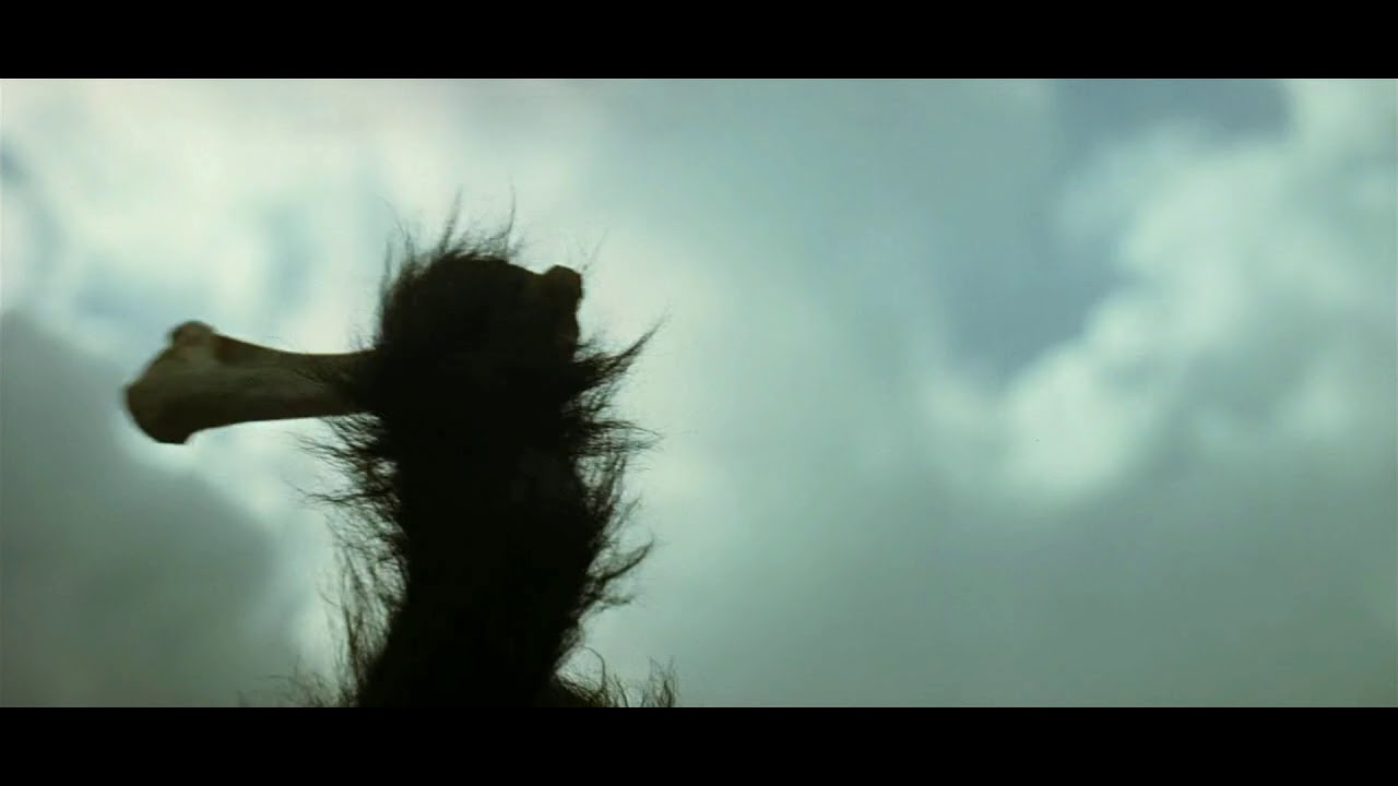 2001: A Space Odyssey Monkey/Ape Learning Scene Full 1080p HD