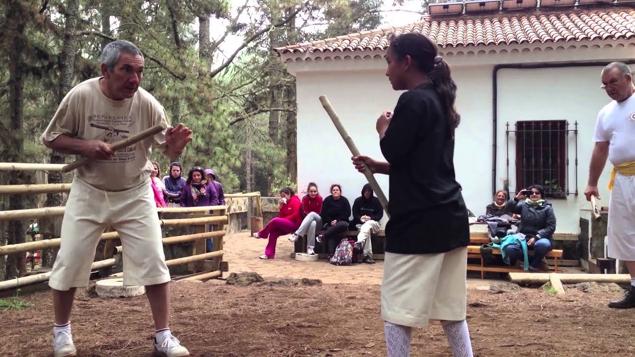 LUCHA DEL TOLETE CANARIO FORESTAL PARK TENERIFE