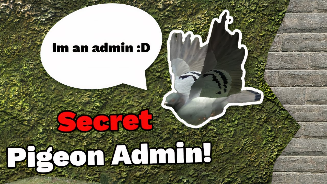 Undercover Pigeon Admin Makes The Sever Unsafe In Gmod DarkRP Admin On Duty