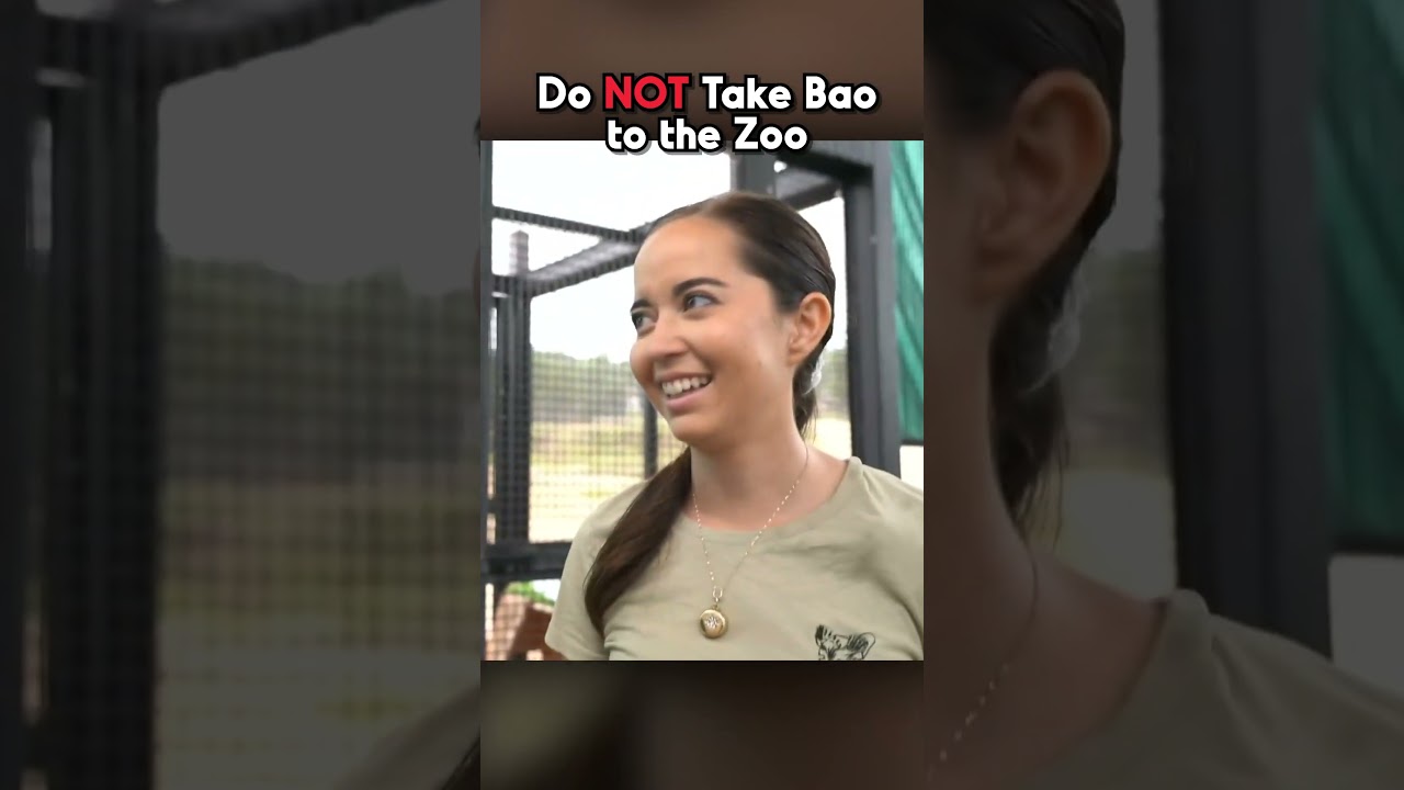 Bao talks to a Parrot #vtuber #vtuberen #twitch