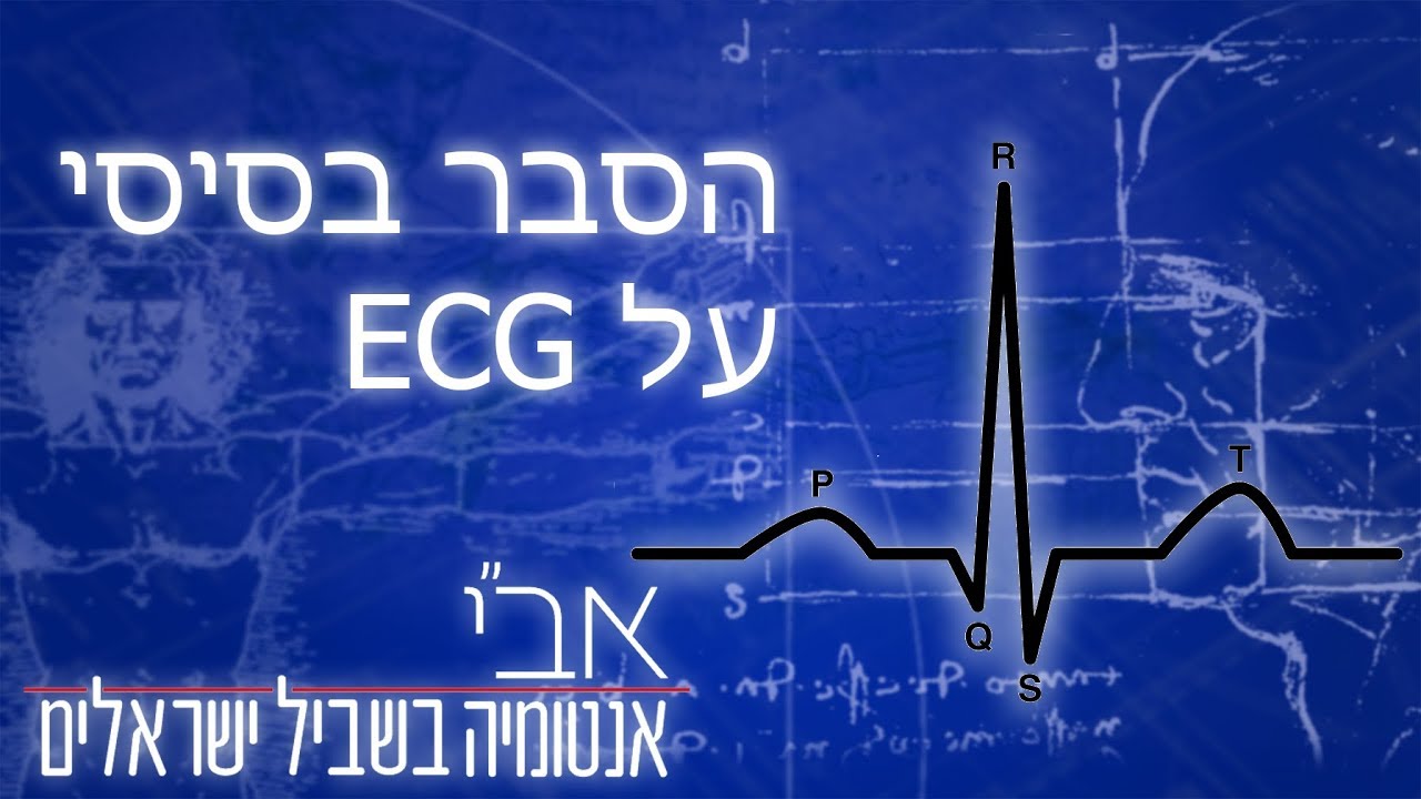 סרטון הסבר בסיסי על אק