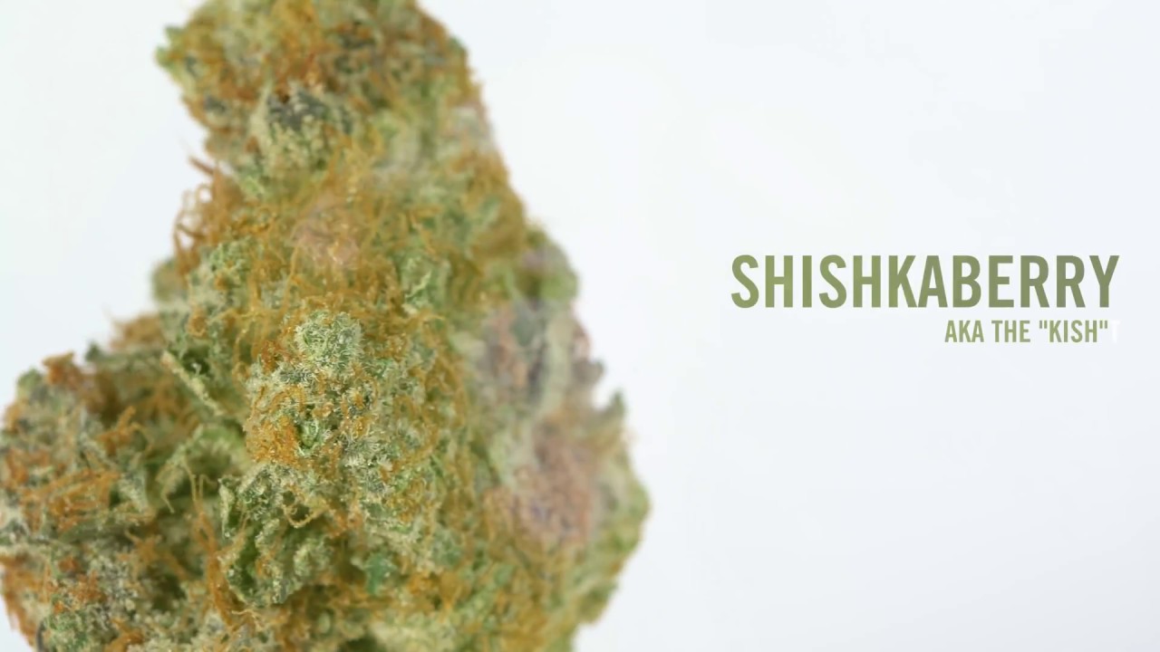 Shishkaberry AKA 