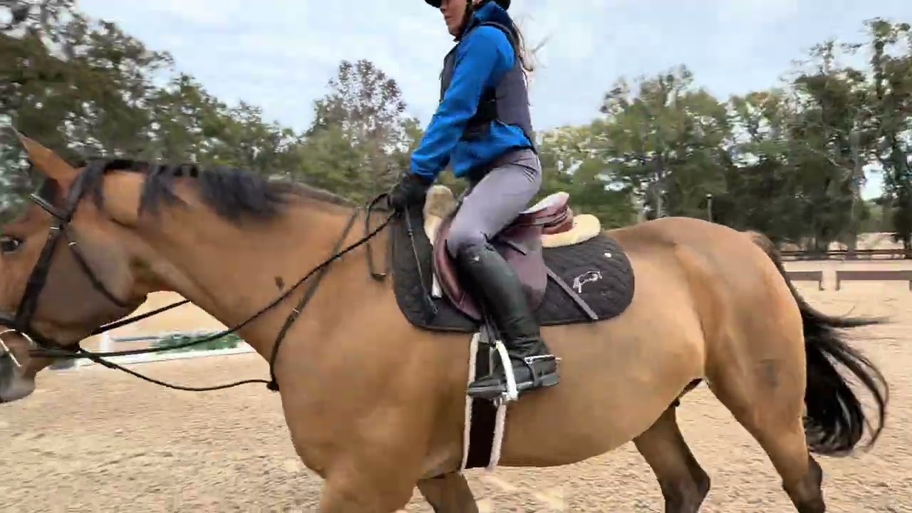 Pookie - Available for lease! 