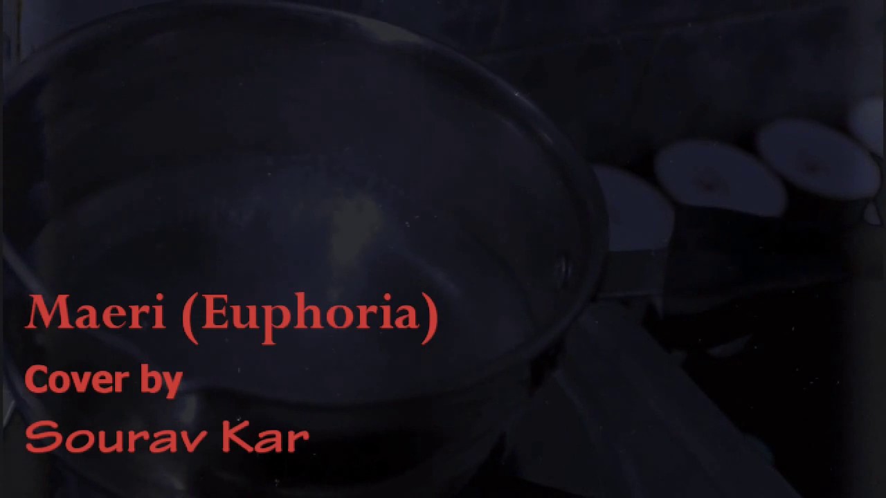 Maeri | Euphoria | Karaoke Cover | Sourav Kar