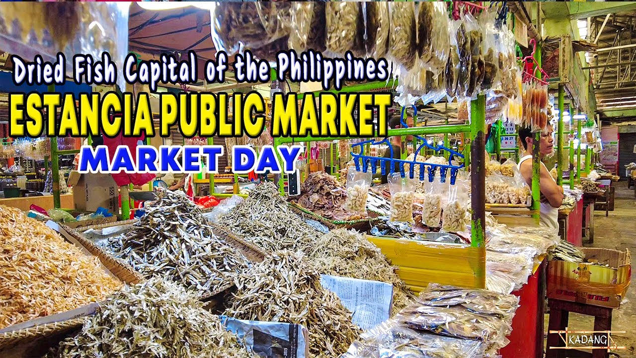 Coastal Treasures: Exploring the Public Market of FISHING COMMUNITY ESTANCIA ILOILO