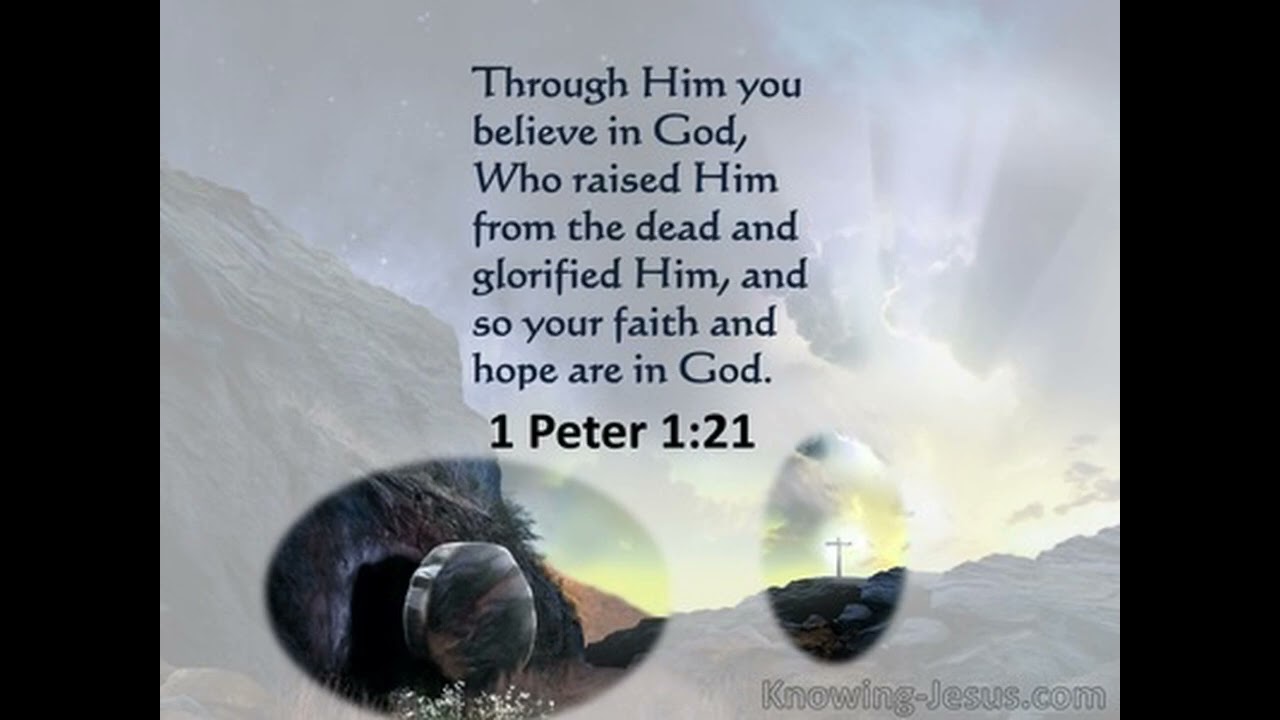 Let's Just Praise the Lord