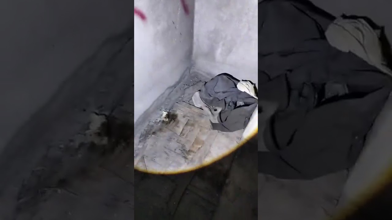 Un lugar donde habitan las brujas 