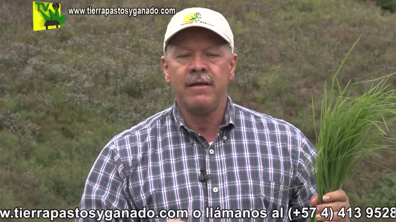 TPYG Medicion de Fincas Dic7