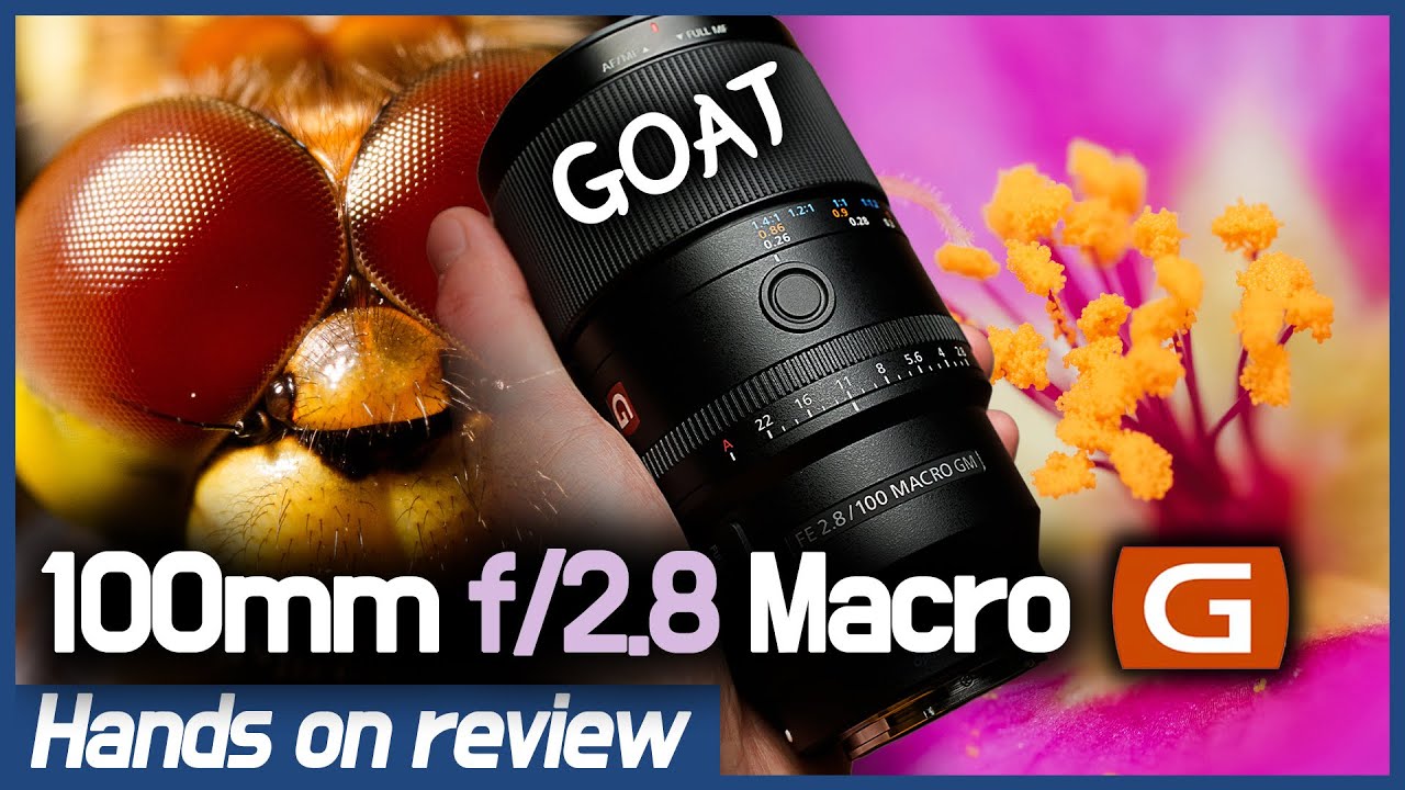SEL100M28GM : 완벽 !! GOAT !!