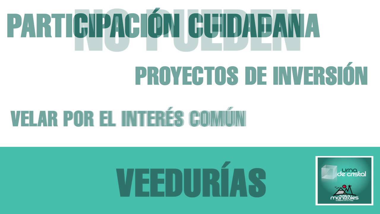 Veedurías Ciudadanas