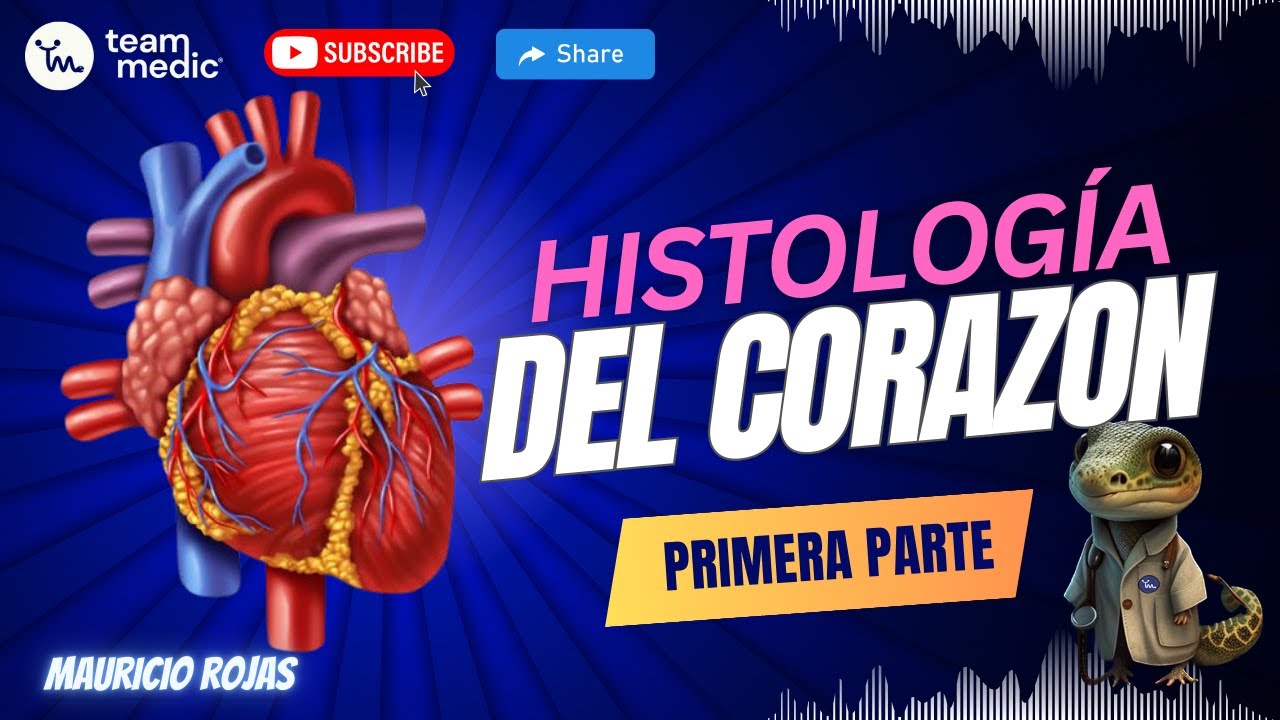 HISTOLOGÍA DEL CORAZON
