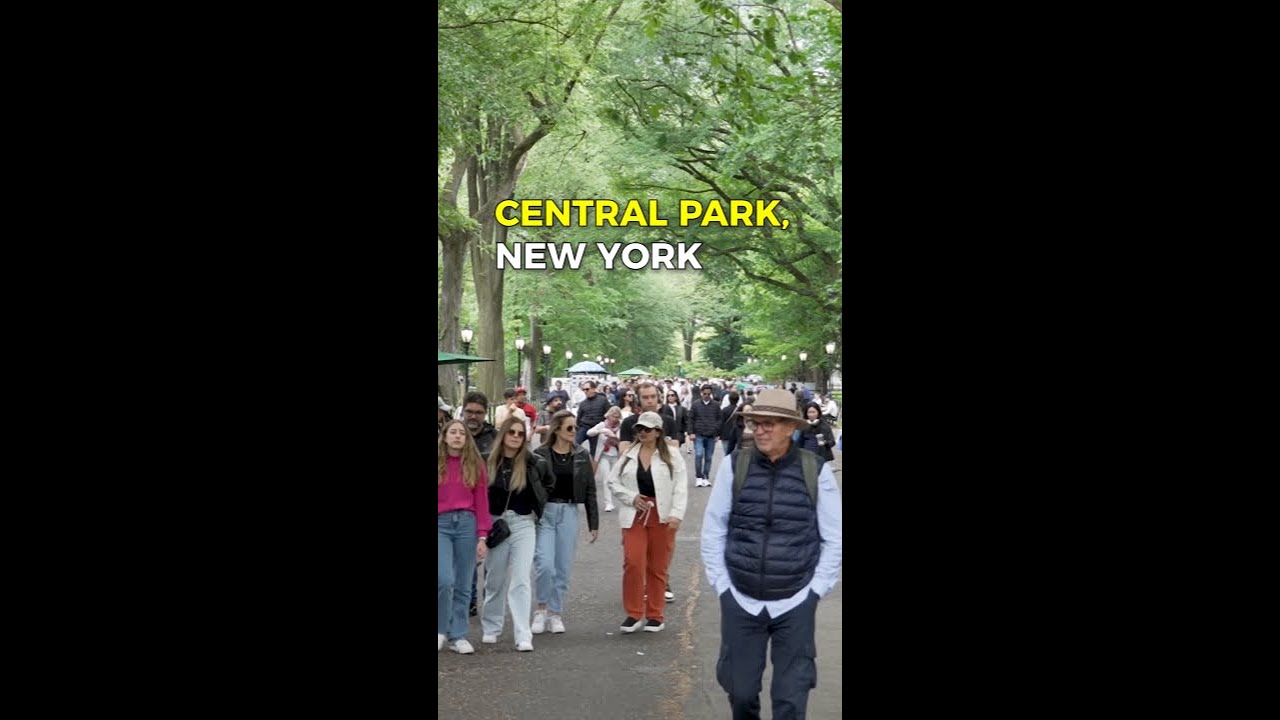 Central Park Walking Tour #nyc