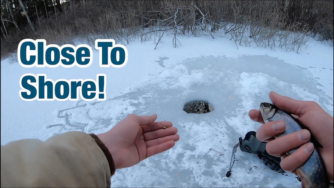 Ice Fishing SMALL POND For TROUT! (Shallow)