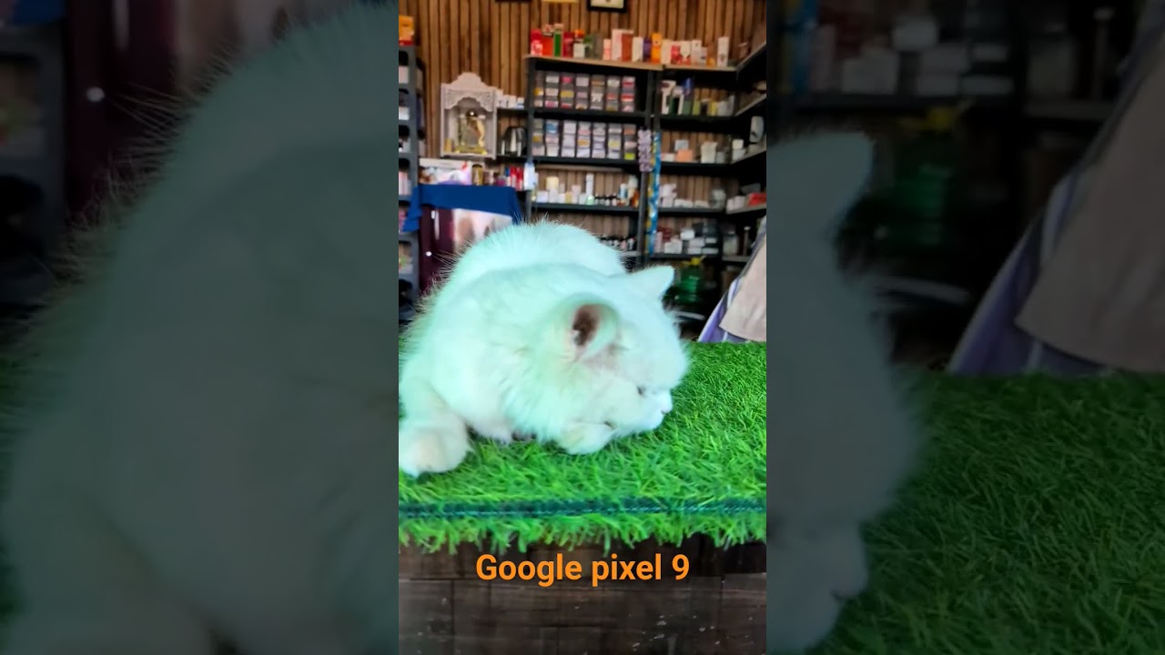 Google pixel 9 video quality check 