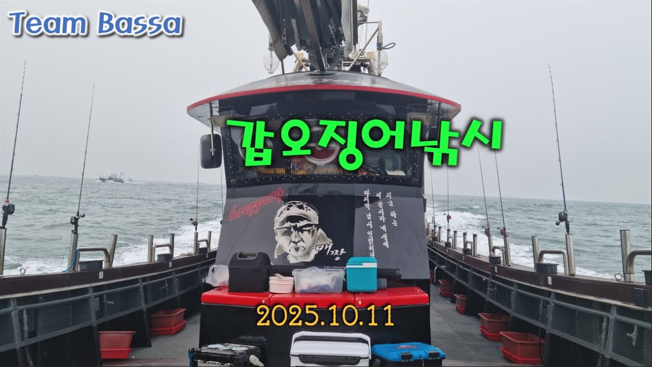 (무창포항 배짱호) 연출2일차, 갑오징어 잘 나오나요~?.... #끝보기낚시 #비행낚시 #BASSA