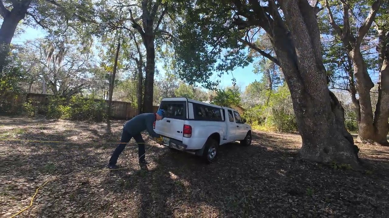 how to cut down dead oak tree with a truck