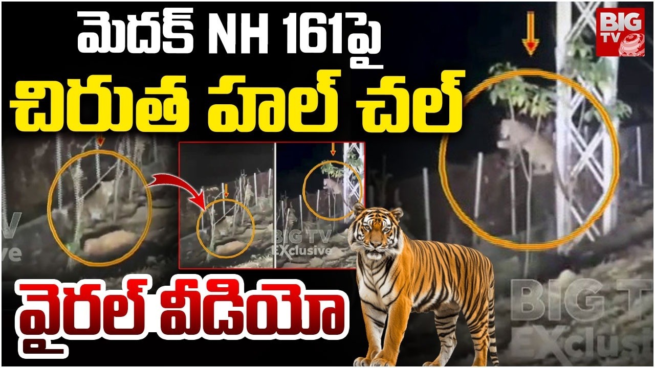 Leopard Spotted at NH 161 at Medak | మెదక్ NH 161పై చిరుత హల్ చల్ | Alladurgam | IB Chowrasta |BIGTV