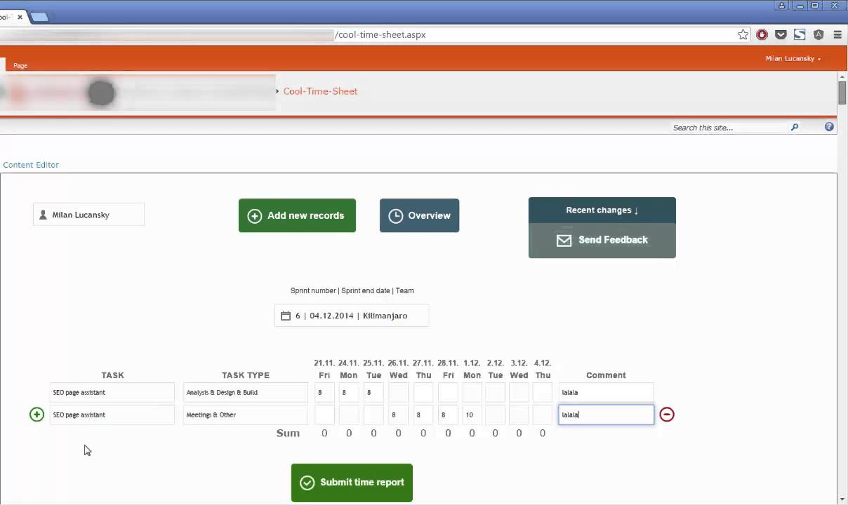 Time Reporting Tool - Cool Time Sheet