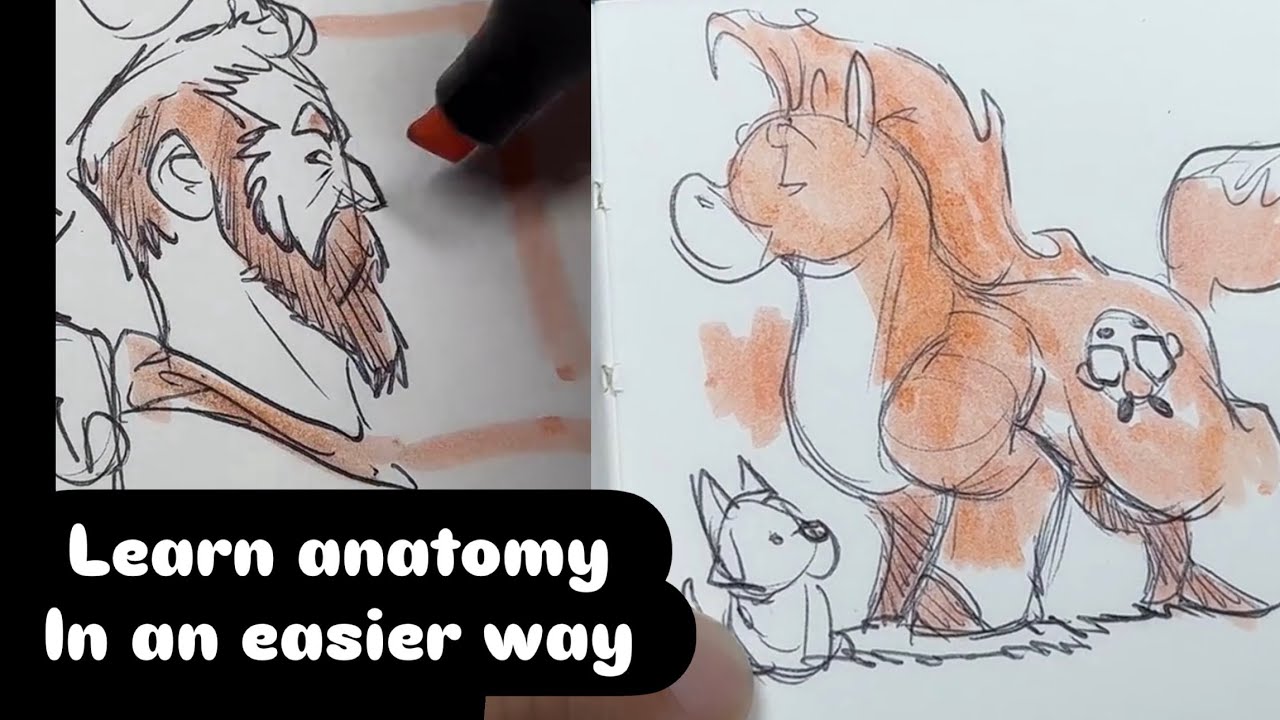 Learn anatomy different. Easier ways to draw 