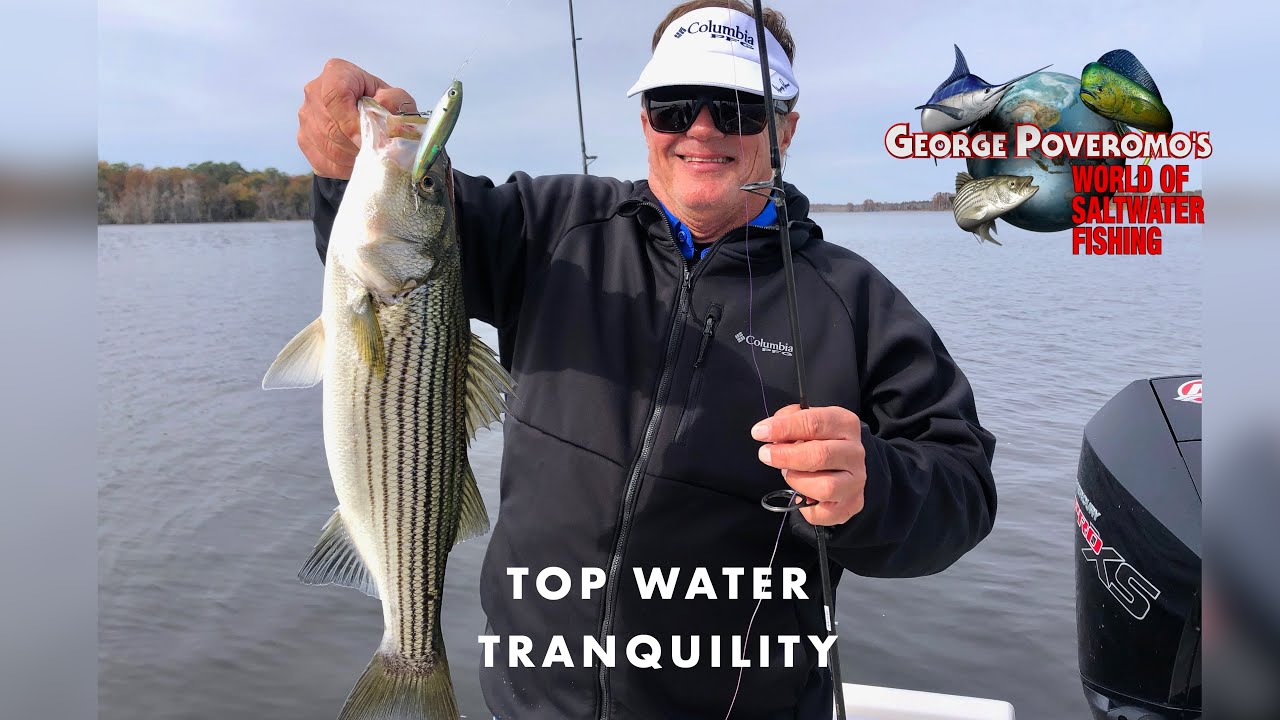 2024 SEASON - Episode 10 New Bern, NC  Top Water Tranquiity.