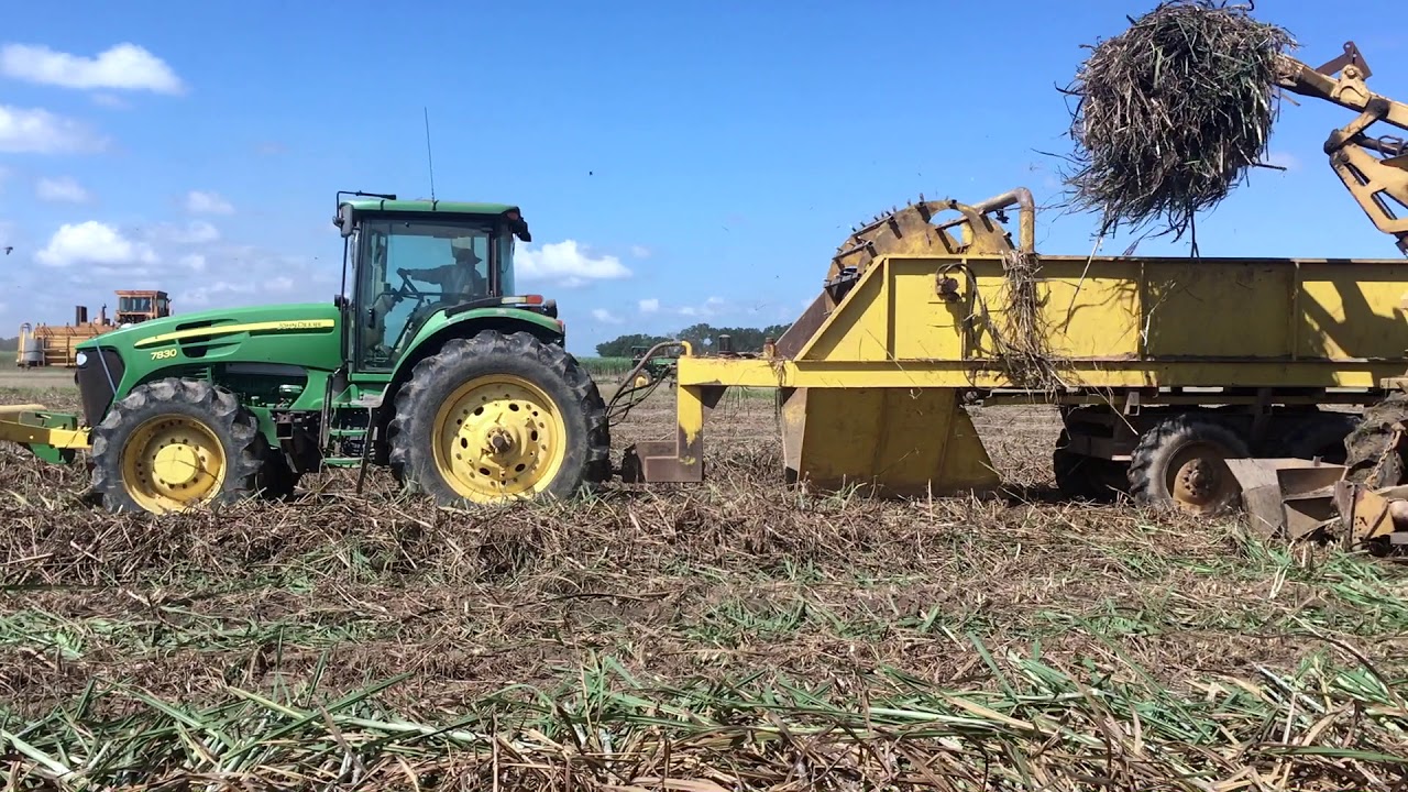 SUGARCANE PLANTING 2019  BLACKBERRY FARMS, VACHEIRE LA