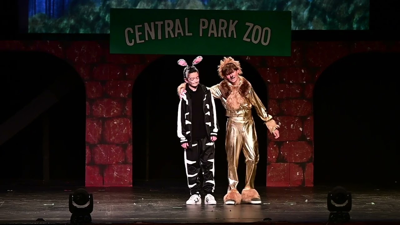 Madagascar Jr