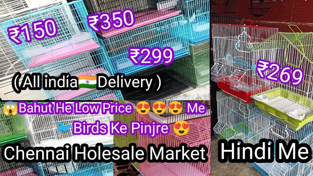 😱₹150 Se Birds Ka Pinjra Chennai Hole Sale Market#01 Video😍😍😍