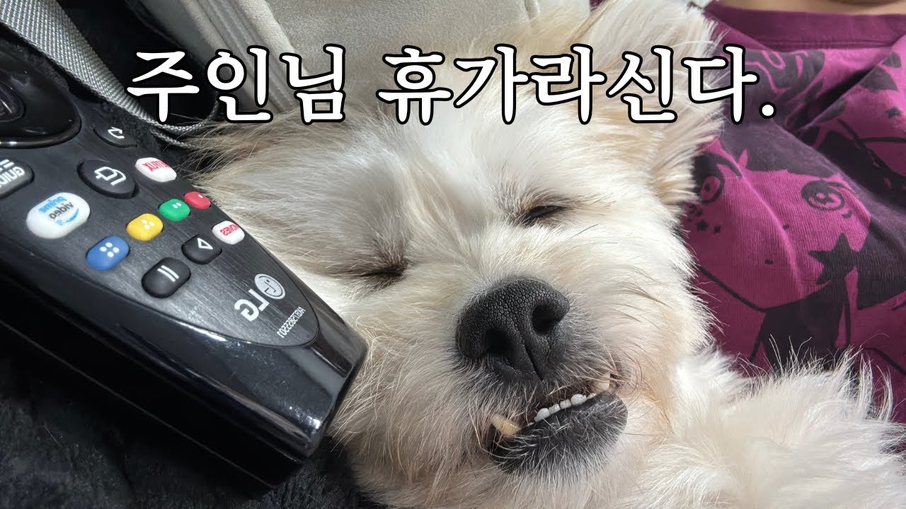 겨울휴가 | 여유인걸까 바쁜걸까