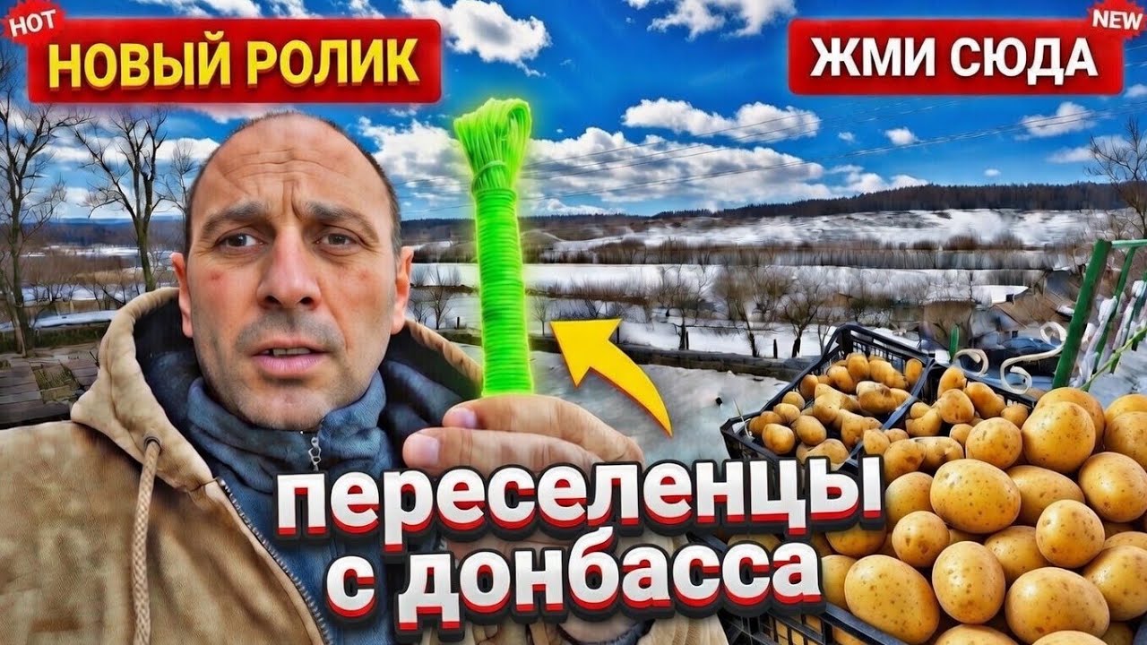 Утренняя поездка. Пластиковые окна. Печальные дела в погребе 